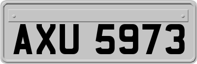 AXU5973