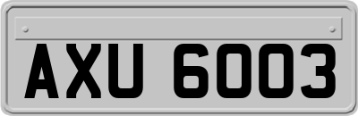 AXU6003