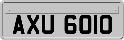 AXU6010