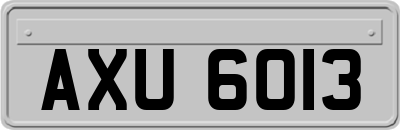 AXU6013