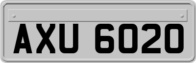 AXU6020