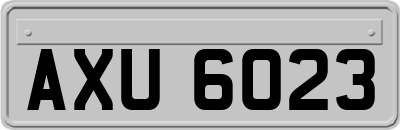 AXU6023