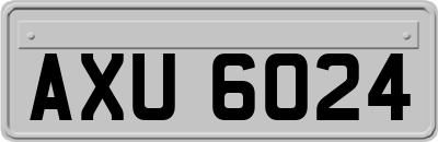 AXU6024
