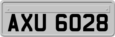 AXU6028