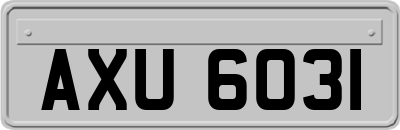 AXU6031