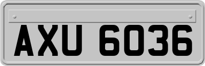 AXU6036