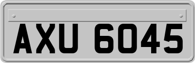AXU6045