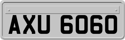 AXU6060