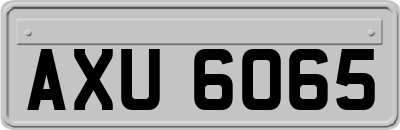 AXU6065