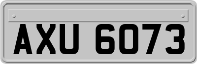AXU6073