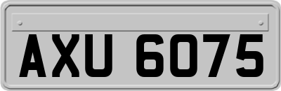 AXU6075