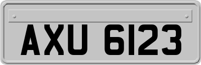 AXU6123