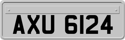 AXU6124