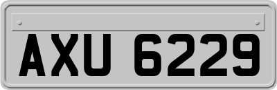 AXU6229