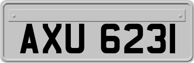 AXU6231
