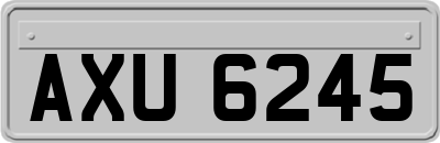 AXU6245