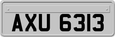 AXU6313