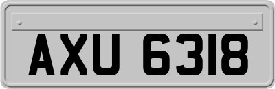 AXU6318