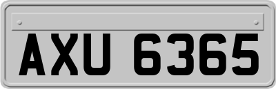 AXU6365