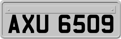 AXU6509