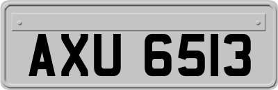 AXU6513