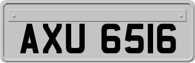 AXU6516