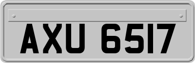 AXU6517