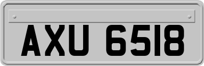AXU6518