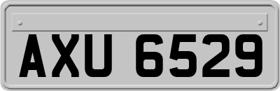 AXU6529