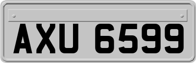 AXU6599