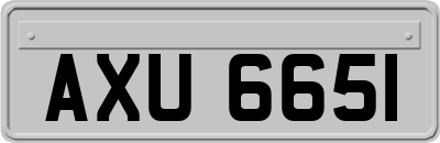 AXU6651