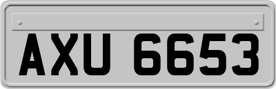 AXU6653