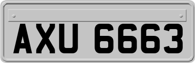 AXU6663