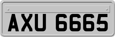 AXU6665