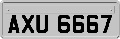 AXU6667