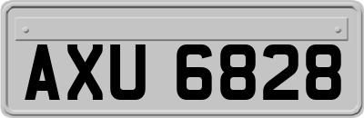 AXU6828