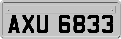 AXU6833