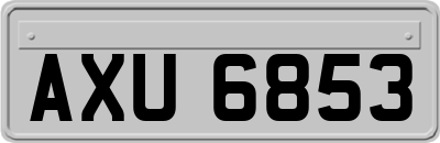 AXU6853