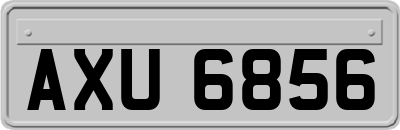 AXU6856