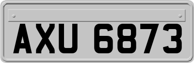 AXU6873