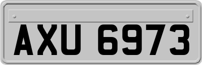 AXU6973
