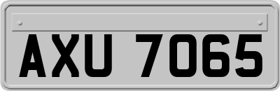 AXU7065