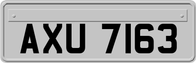 AXU7163