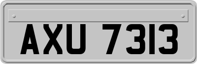 AXU7313