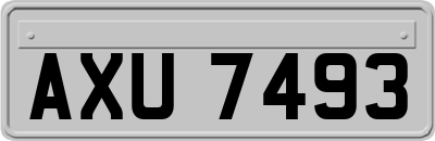AXU7493