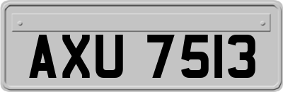 AXU7513