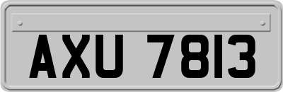 AXU7813