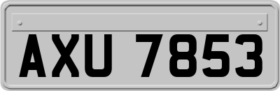 AXU7853