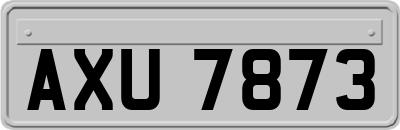 AXU7873