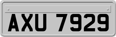AXU7929
